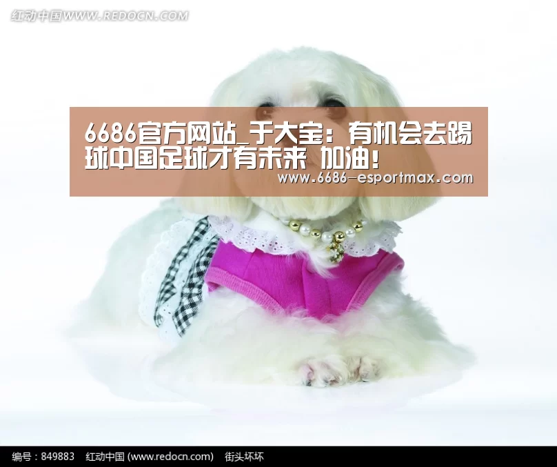 6686APP下载